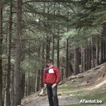 selmar - date a Danish, 100% free selmar